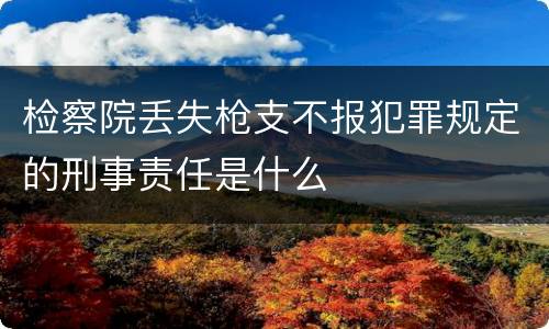 检察院丢失枪支不报犯罪规定的刑事责任是什么