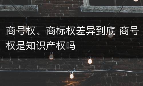 商号权、商标权差异到底 商号权是知识产权吗