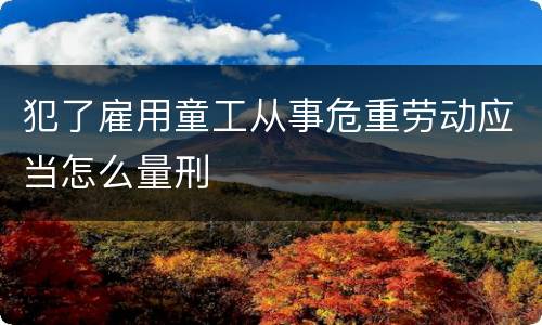 犯了雇用童工从事危重劳动应当怎么量刑