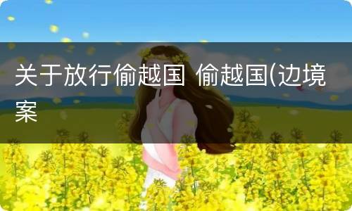 关于放行偷越国 偷越国(边境案
