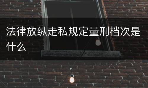 法律放纵走私规定量刑档次是什么