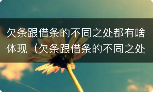 欠条跟借条的不同之处都有啥体现（欠条跟借条的不同之处都有啥体现呢）