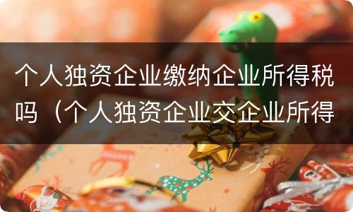个人独资企业缴纳企业所得税吗（个人独资企业交企业所得税吗）