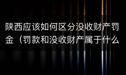 陕西应该如何区分没收财产罚金（罚款和没收财产属于什么制裁）