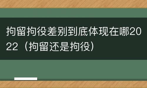 拘留拘役差别到底体现在哪2022（拘留还是拘役）