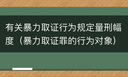 有关暴力取证行为规定量刑幅度（暴力取证罪的行为对象）