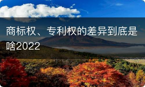 商标权、专利权的差异到底是啥2022