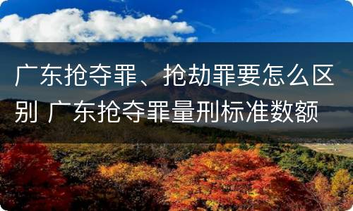 广东抢夺罪、抢劫罪要怎么区别 广东抢夺罪量刑标准数额