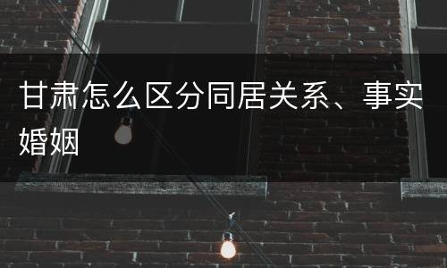 甘肃怎么区分同居关系、事实婚姻