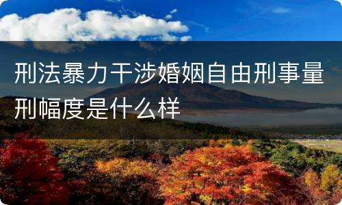 刑法暴力干涉婚姻自由刑事量刑幅度是什么样