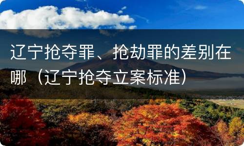 辽宁抢夺罪、抢劫罪的差别在哪（辽宁抢夺立案标准）