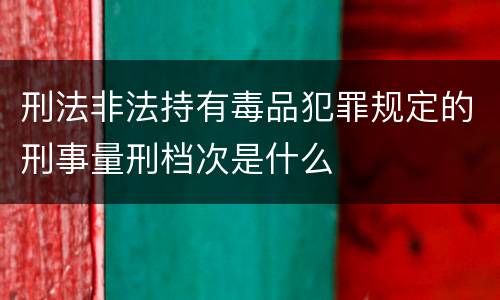 刑法非法持有毒品犯罪规定的刑事量刑档次是什么