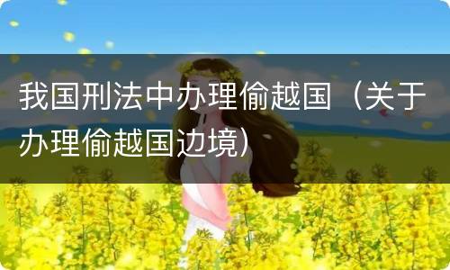 我国刑法中办理偷越国（关于办理偷越国边境）