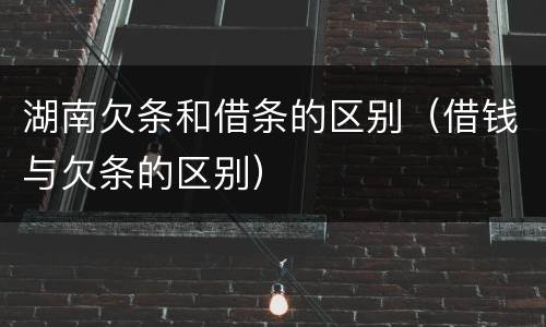 湖南欠条和借条的区别（借钱与欠条的区别）