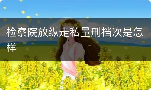 检察院放纵走私量刑档次是怎样