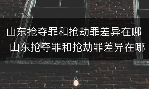 山东抢夺罪和抢劫罪差异在哪 山东抢夺罪和抢劫罪差异在哪查