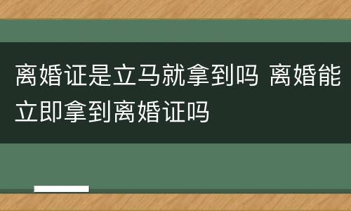 离婚证是立马就拿到吗 离婚能立即拿到离婚证吗