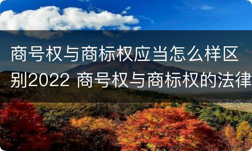 商号权与商标权应当怎么样区别2022 商号权与商标权的法律冲突与解决
