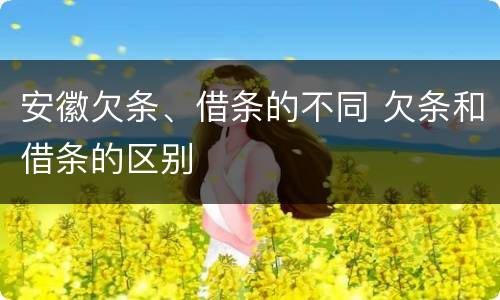 安徽欠条、借条的不同 欠条和借条的区别