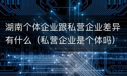 湖南个体企业跟私营企业差异有什么（私营企业是个体吗）