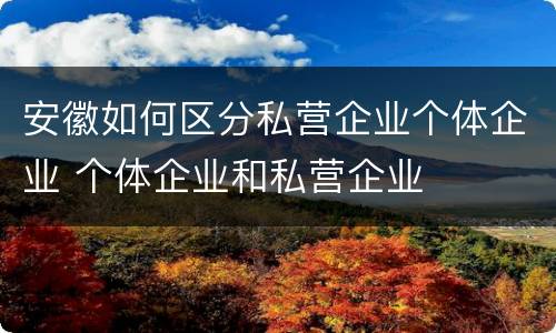 安徽如何区分私营企业个体企业 个体企业和私营企业