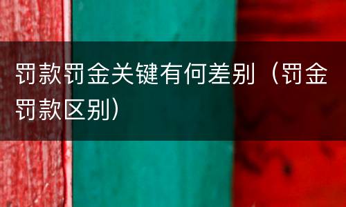 罚款罚金关键有何差别（罚金罚款区别）