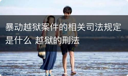 暴动越狱案件的相关司法规定是什么 越狱的刑法