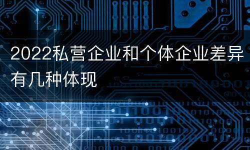 2022私营企业和个体企业差异有几种体现