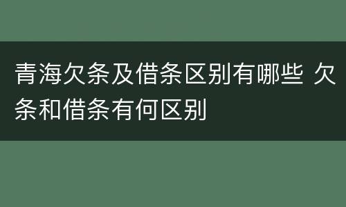 青海欠条及借条区别有哪些 欠条和借条有何区别