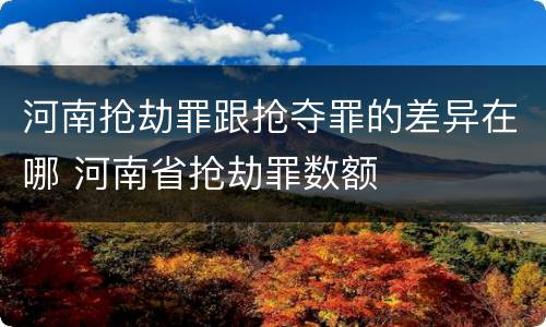 河南抢劫罪跟抢夺罪的差异在哪 河南省抢劫罪数额