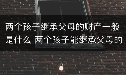 两个孩子继承父母的财产一般是什么 两个孩子能继承父母的全部财产吗