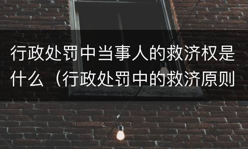 行政处罚中当事人的救济权是什么（行政处罚中的救济原则）
