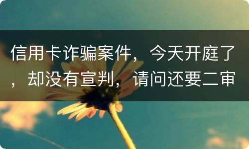 信用卡诈骗案件，今天开庭了，却没有宣判，请问还要二审吗，或者什么时候能判决