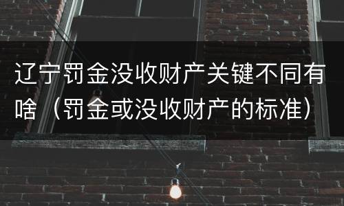 辽宁罚金没收财产关键不同有啥（罚金或没收财产的标准）