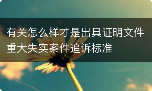 有关怎么样才是出具证明文件重大失实案件追诉标准