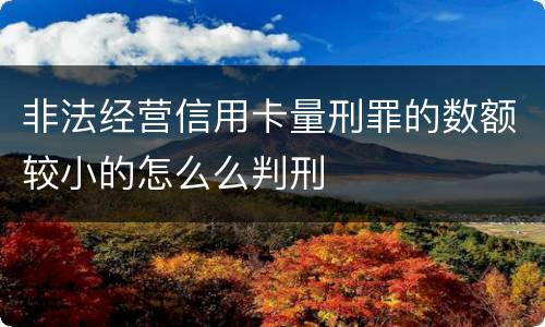 非法经营信用卡量刑罪的数额较小的怎么么判刑