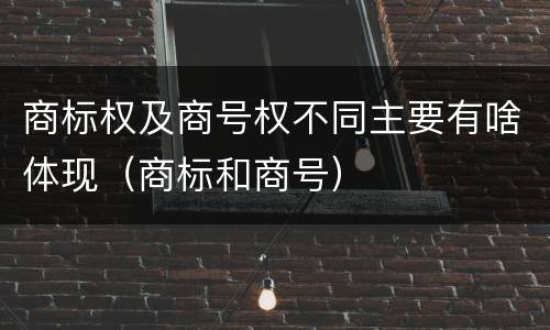商标权及商号权不同主要有啥体现（商标和商号）