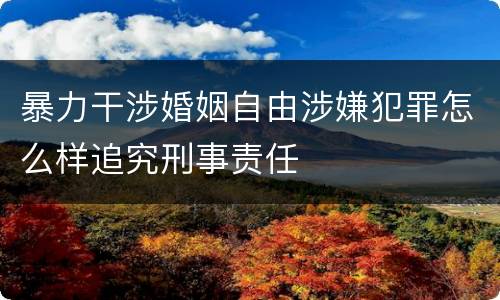 暴力干涉婚姻自由涉嫌犯罪怎么样追究刑事责任