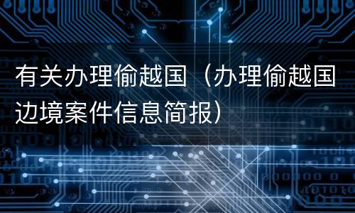 有关办理偷越国（办理偷越国边境案件信息简报）