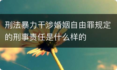 刑法暴力干涉婚姻自由罪规定的刑事责任是什么样的