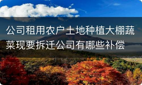 公司租用农户土地种植大棚蔬菜现要拆迁公司有哪些补偿