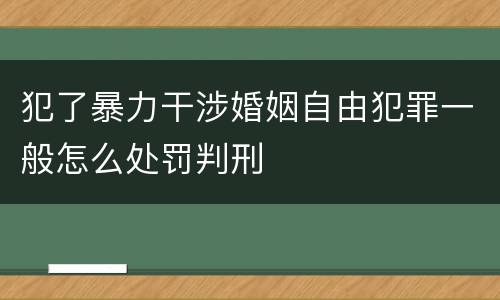 犯了暴力干涉婚姻自由犯罪一般怎么处罚判刑