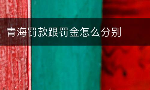 青海罚款跟罚金怎么分别