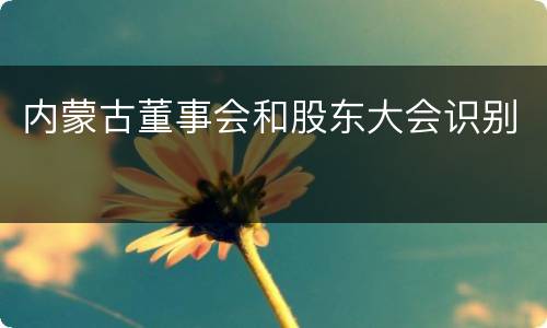 内蒙古董事会和股东大会识别