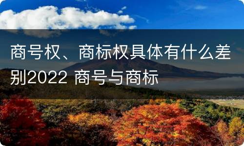 商号权、商标权具体有什么差别2022 商号与商标