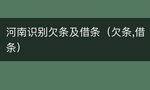 河南识别欠条及借条（欠条,借条）