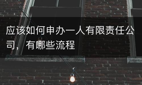 应该如何申办一人有限责任公司，有哪些流程