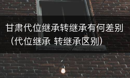甘肃代位继承转继承有何差别（代位继承 转继承区别）