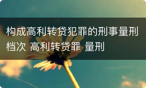 构成高利转贷犯罪的刑事量刑档次 高利转贷罪 量刑