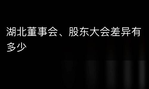 湖北董事会、股东大会差异有多少